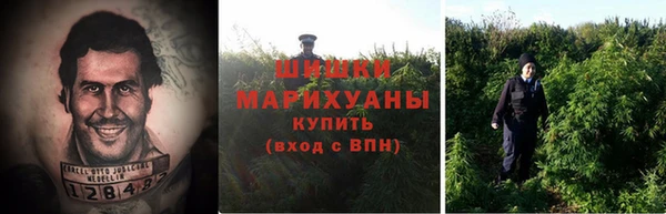 прущая мука Бородино