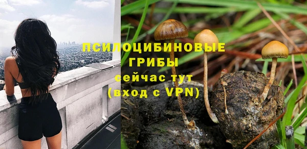 прущая мука Бородино