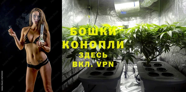 ПСИЛОЦИБИНОВЫЕ ГРИБЫ Бугульма