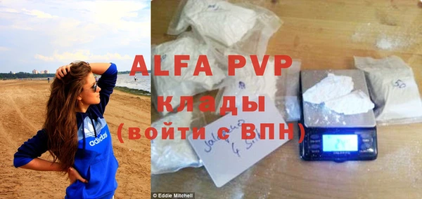 амф Верея